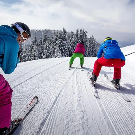 木屋 Naturpark Lambrecht By Alps *