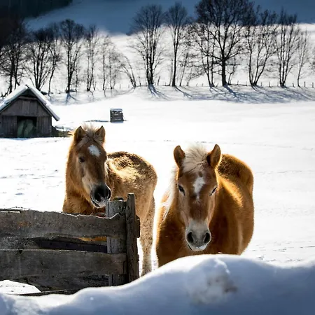 Naturpark Lambrecht By Alps * 圣兰布雷希特