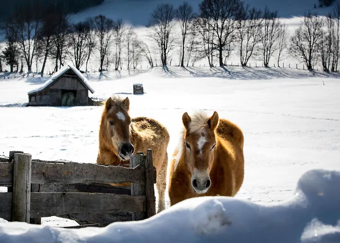 Naturpark Lambrecht By Alps * سانكت لامبريشت